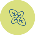 Basil